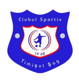logo_timisul_sag